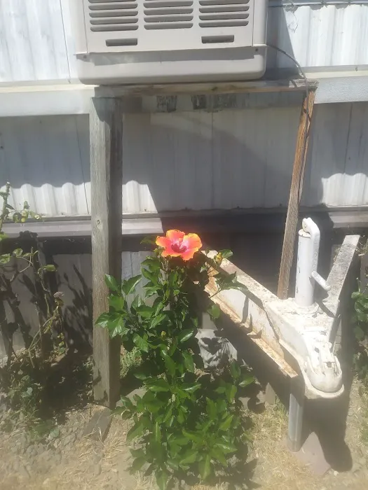 Bryte Mobile Home Park Picture 2