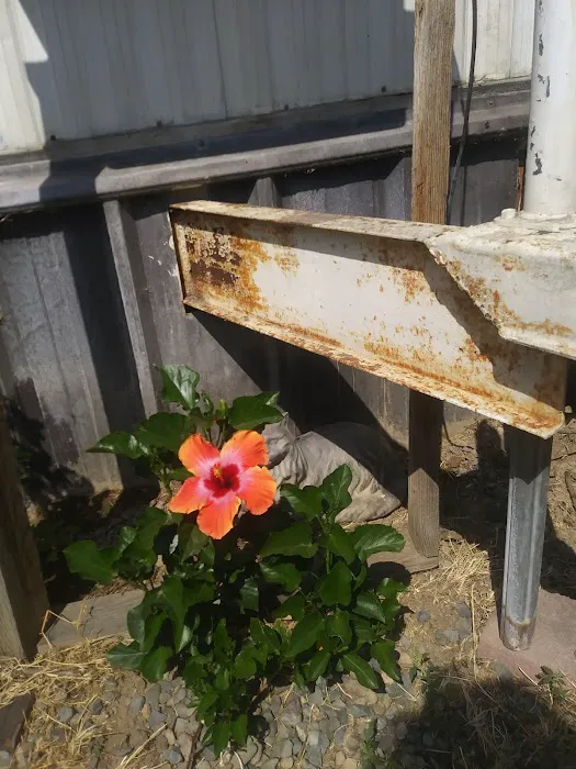 Bryte Mobile Home Park Picture 5