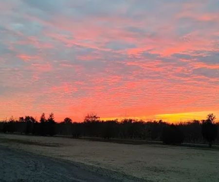 Merced, CA Elks RV Park