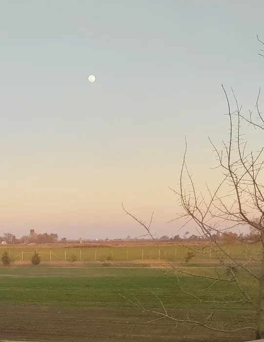 Merced, CA Elks RV Park Picture 2