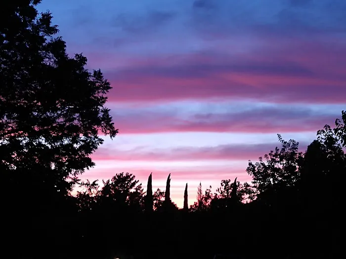 Capell Valley Estates, Inc. Picture 2