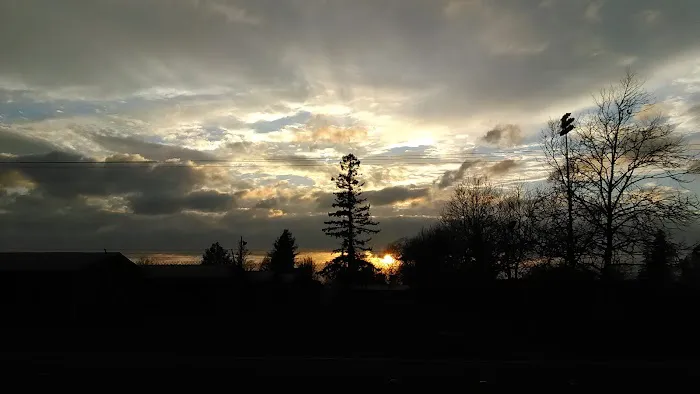 Sonoma County Fairgrounds RV Park Picture 7