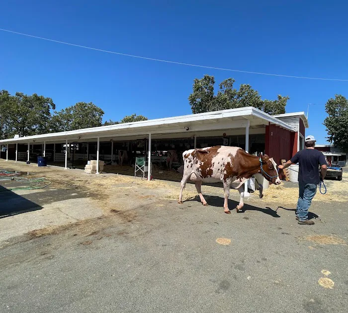 Sonoma County Fairgrounds RV Park Picture 10