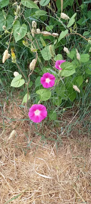 Roseland Mobile Home Park Picture 8