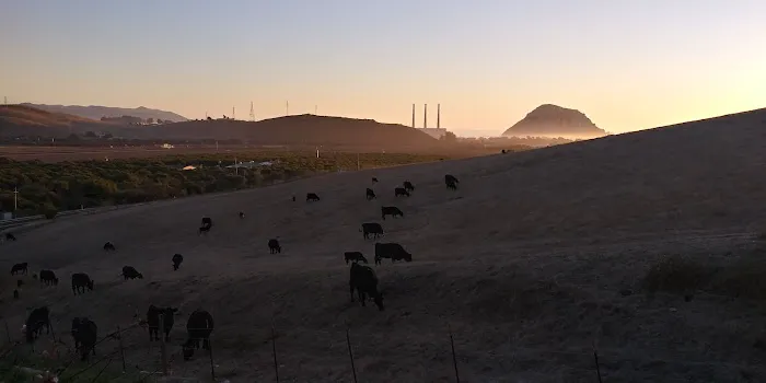 Rancho Colina Recreational Park Picture 1