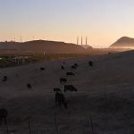 Rancho Colina Recreational Park