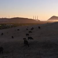 Rancho Colina Recreational Park ico
