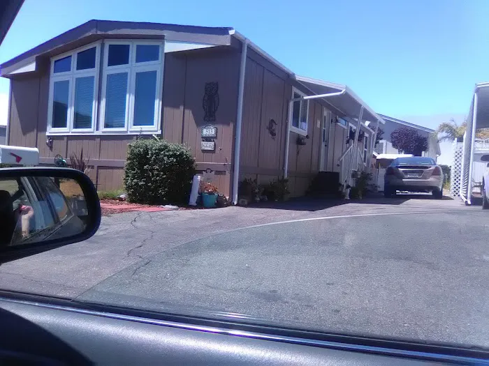 Bay Pines Mobile Home Park Picture 2