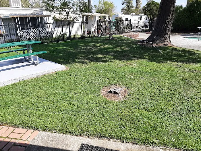 Camellia Gardens Mobile Home Park Picture 3