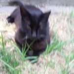 Casa Grande Mobile Village