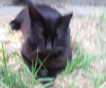 Casa Grande Mobile Village