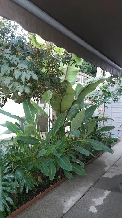 North Sacramento Mobile Home Park Picture 2