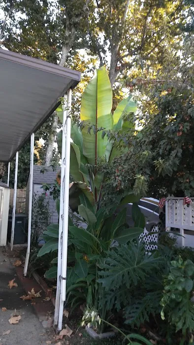 North Sacramento Mobile Home Park Picture 1