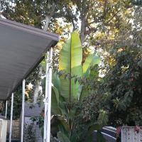 North Sacramento Mobile Home Park ico