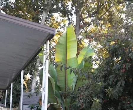 North Sacramento Mobile Home Park