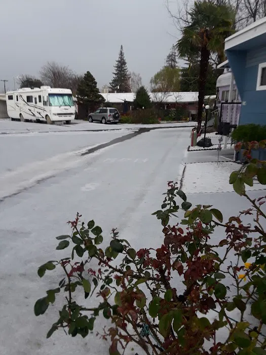 North Sacramento Mobile Home Park Picture 8