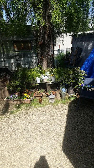Eleven Oaks Mobile Home & RV Park Picture 6