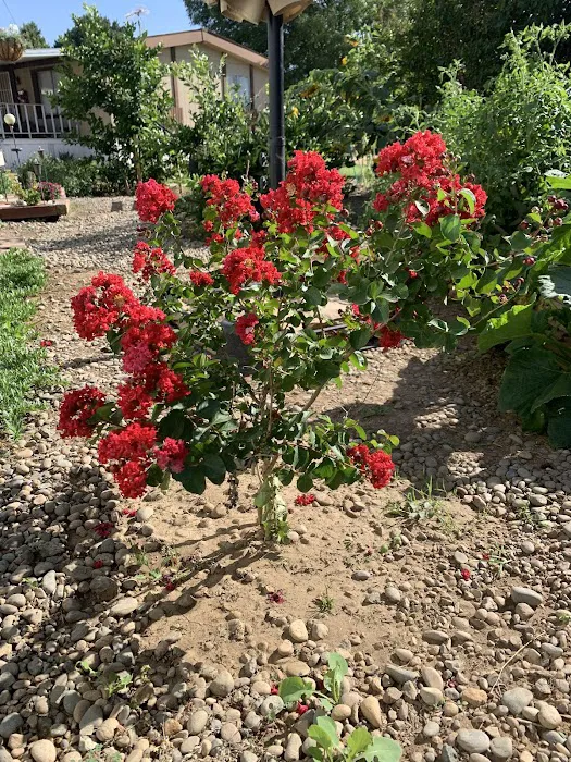 Merced Estates Picture 10