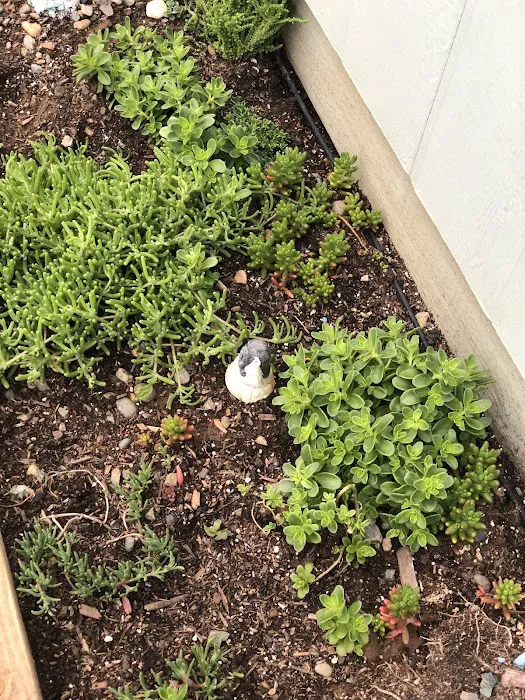 Merced Estates Picture 8