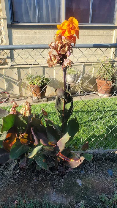 Merced Estates Picture 3