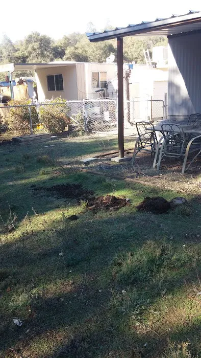 Spanish Flat Mobile Villa Picture 7