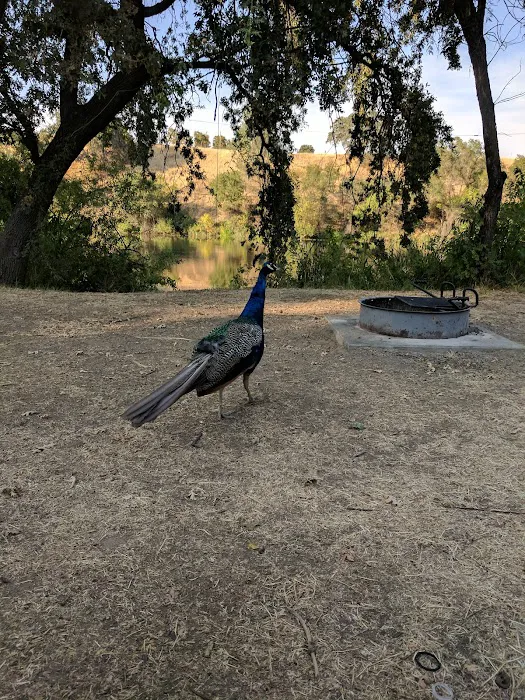 Winters Mobile Home Park Picture 10