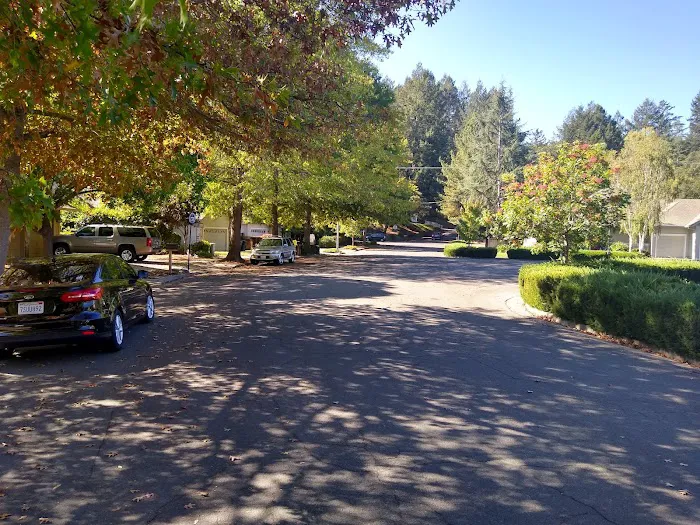 Santa Rosa Village Picture 6