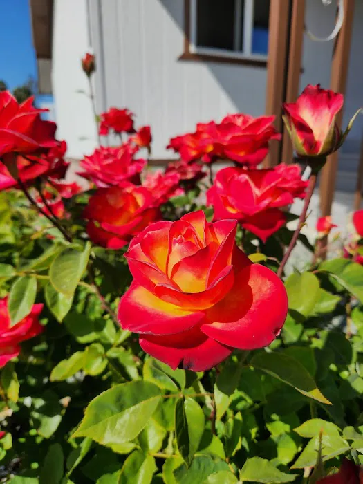 Rancho San Miguel Picture 8