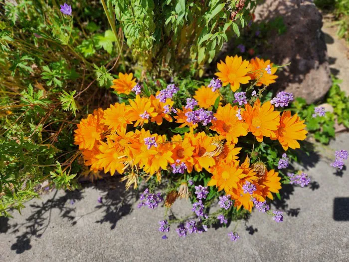 Rancho San Miguel Picture 9