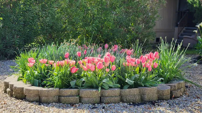 Rancho San Miguel Picture 3