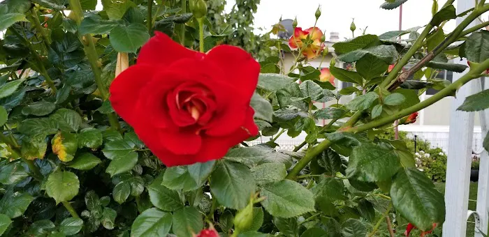 Rancho San Miguel Picture 5