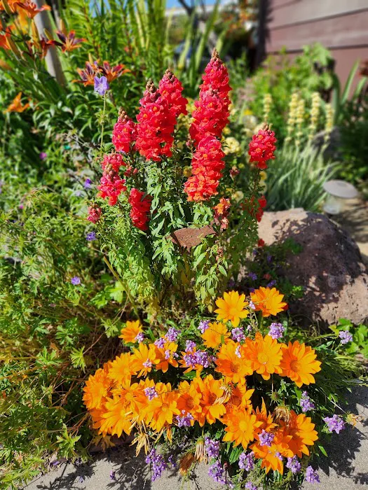 Rancho San Miguel Picture 6