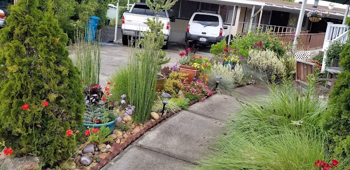 Rancho San Miguel Picture 4