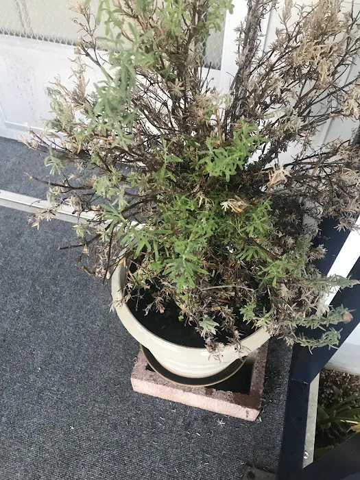 Rancho San Miguel Picture 10