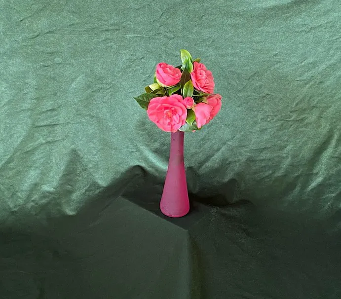 Chumash Village Picture 5