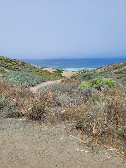 The Beachhouse RV Park Picture 3