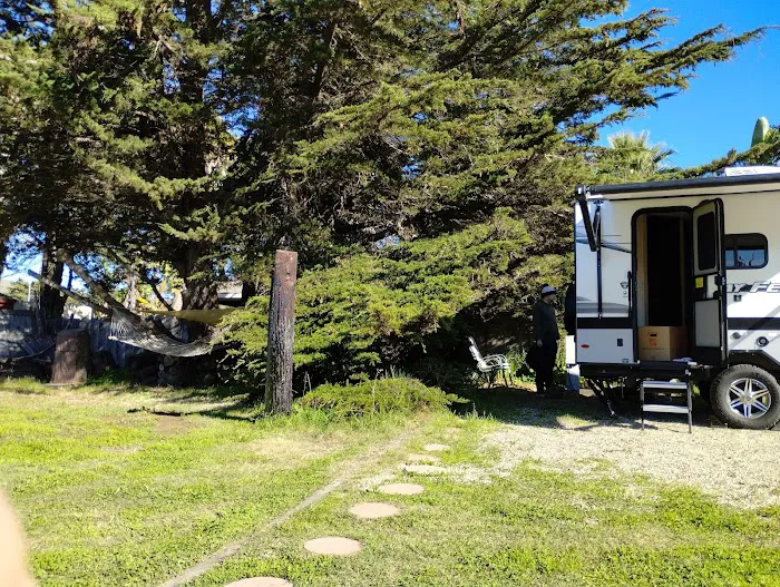 The Beachhouse RV Park Picture 7