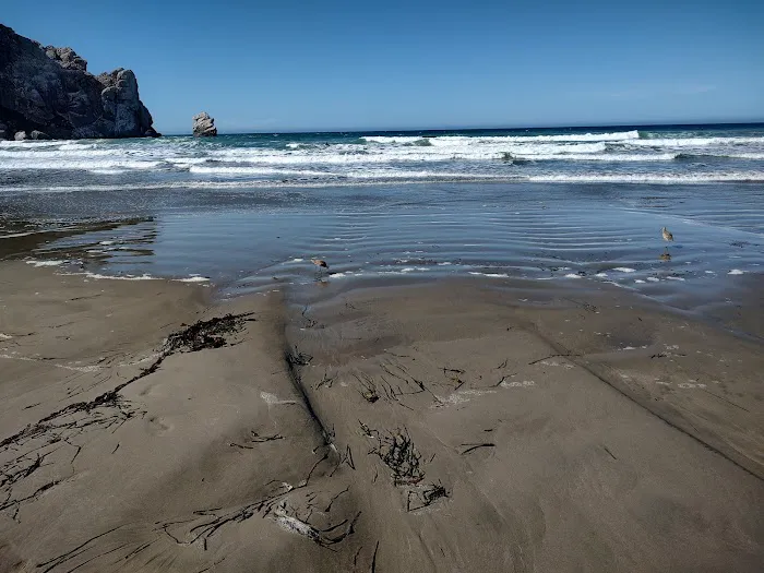 Morro Strand RV Park Picture 6