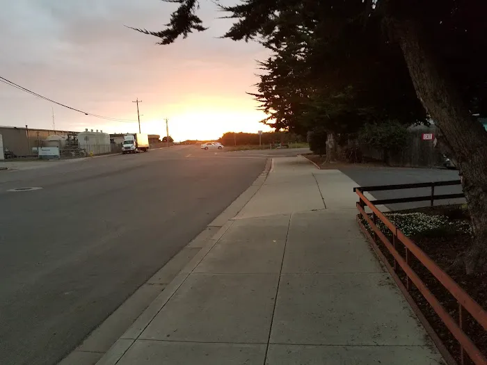 Morro Strand RV Park Picture 9