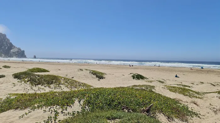 Morro Dunes RV Park Picture 4