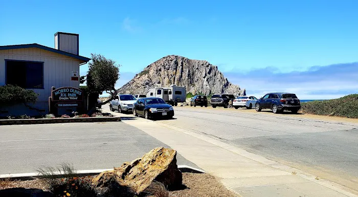 Morro Dunes RV Park Picture 2