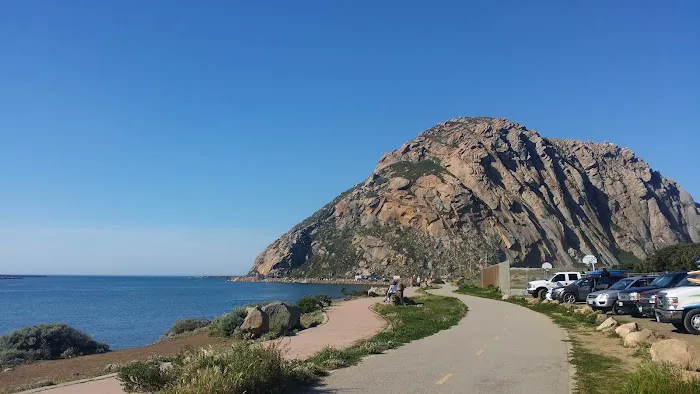 Morro Dunes RV Park Picture 8