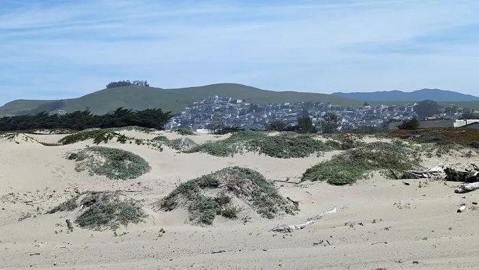 Morro Dunes RV Park Picture 1