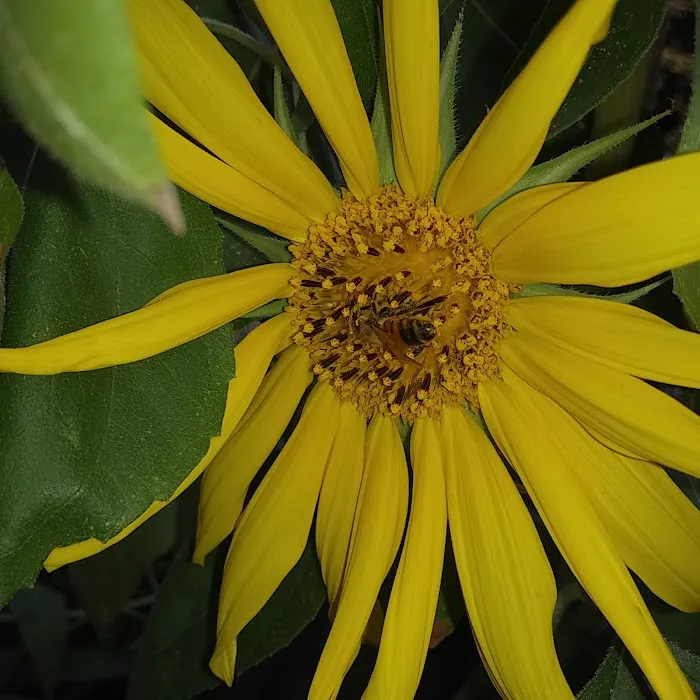 Almond Grove Mobile Home & RV Park Picture 5