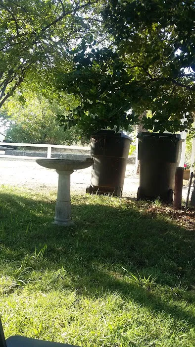 Almond Grove Mobile Home & RV Park Picture 8