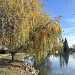 Lakeview Village Mobile Home