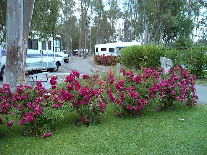 Midway RV Park Picture 4