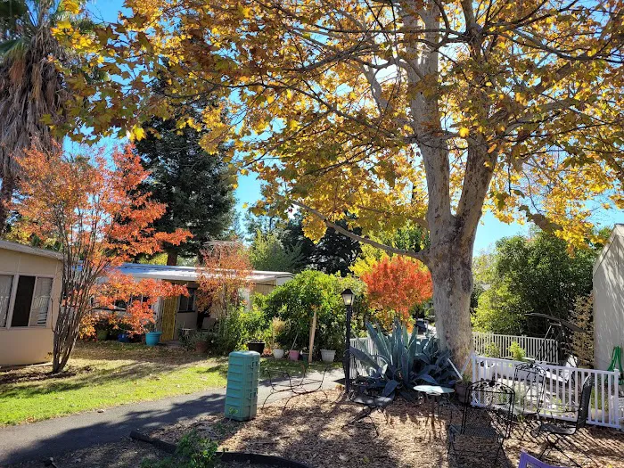 Rancho Yolo Mobile Home Park Picture 9