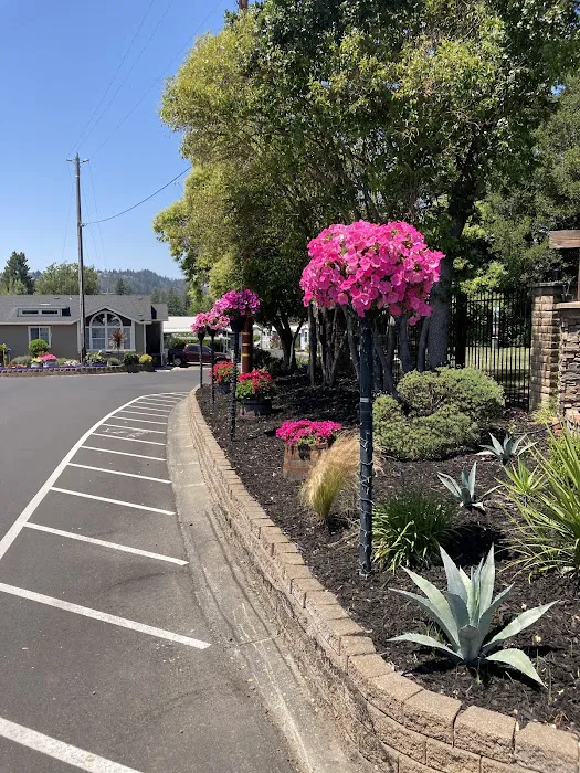 Rincon Valley Mobile Estates Picture 3