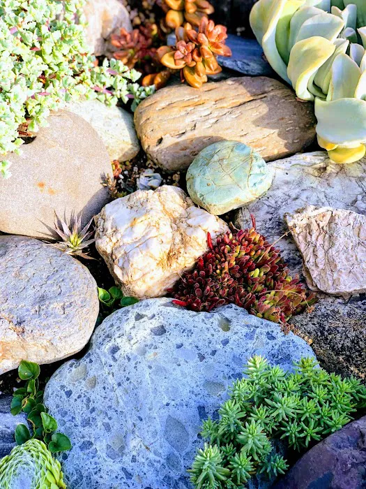 Rancho Cabeza Mobile Estates Picture 4